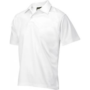 Afbeelding - 1209-7970061-jpg